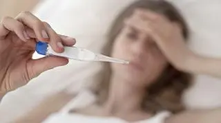 Groźna chikungunya jest już w Europie. Towarzyszy jej dwugarbna gorączka